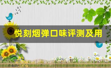 悦刻烟弹口味评测及用户喜好分析